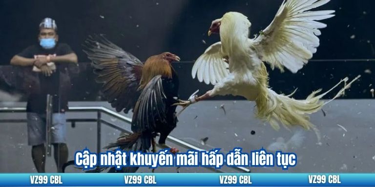 Đá Gà Cựa Dao Tại VZ99: Thiên Đường Cho Người Chơi Cập nhật khuyến mãi hấp dẫn liên tục