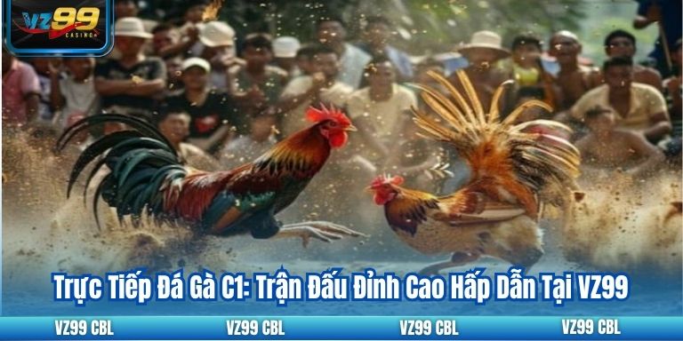 Trực Tiếp Đá Gà C1: Trận Đấu Đỉnh Cao Hấp Dẫn Tại VZ99 Trực Tiếp Đá Gà C1: Trận Đấu Đỉnh Cao Hấp Dẫn Tại VZ99